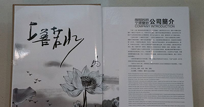 宁琨墙衣-图库-样册展示