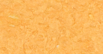 N-013